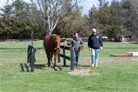 LR-WRF 0402026 Retreat-3440